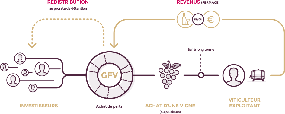 comprendre le fonctionnement d'un GFV