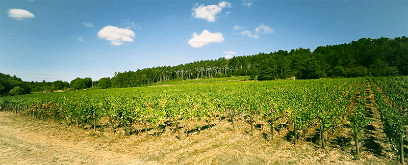 GFV Beaune