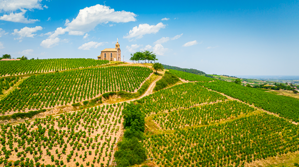 Devenez propriétaire de vignes