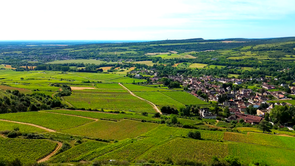 Devenez propriétaire de vignes