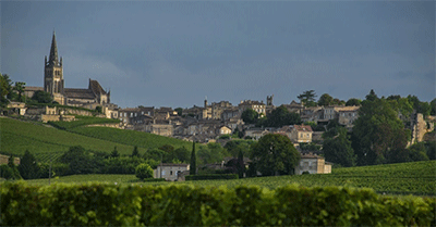 Devenez propriétaire de vignes