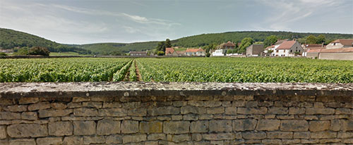 Devenez propriétaire de vignes
